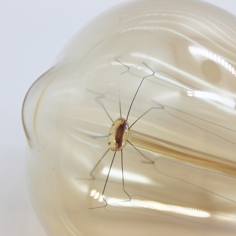 40w St-64 Edison Bulb